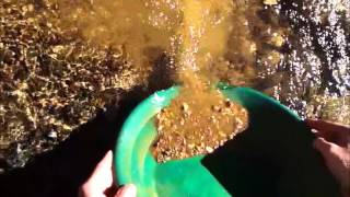 Gold Panning Like a Pro with Dan Hurd [upl. by Grobe]