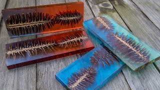 DIY Pine Cone And Resin Scale  Blank [upl. by Alek902]