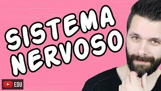 SISTEMA NERVOSO  FISIOLOGIA  Aula  Biologia com Samuel Cunha [upl. by Ahseena]