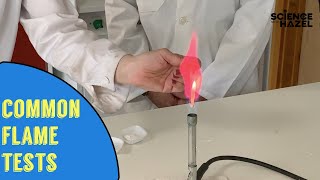 Flame Tests  Chemistry Practicals [upl. by Ahsilet]