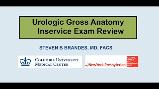 Urologic Gross Anatomy  EMPIRE Urology In Service Review [upl. by Ioyal533]