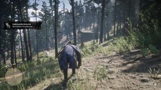 RDR2  Woodpecker location  Tips Description [upl. by Aiynat]