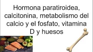 Hormona paratiroidea calcitonina metabolismo del Ca y P vitamina D y huesos [upl. by Alad]