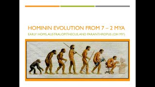 Hominin Evolution Part 1 The First 5 Million Years [upl. by Iralam]