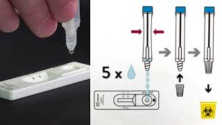 Rapid antigen screening [upl. by Herm]