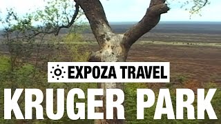 Kruger National Park Vacation Travel Video Guide [upl. by Siraved786]