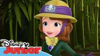 Sofia the First  Stronger Than You Know  Official Disney Junior Africa [upl. by Wing]