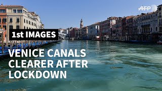 Venice canals clearer due to lack of tourists and traffic  AFP [upl. by Jepum]