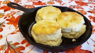 2 Ingredient Biscuits  The Hillbilly Kitchen [upl. by Crane]