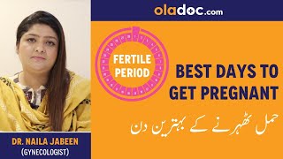 Best Days To Get Pregnant Urdu Hindi  Hamal Therne Ka Sahi Waqt  Fertility Days  Ovulation Period [upl. by Ivz]