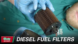 How To Change Diesel Fuel Filters [upl. by Eltsirk]