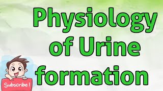 PHYSIOLOGY OF URINE FORMATION [upl. by Huei]