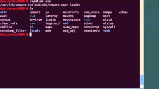 Understanding Linux processes within slash proc [upl. by Eynenihc]