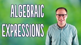 Algebraic Expressions Basics [upl. by Harelda97]