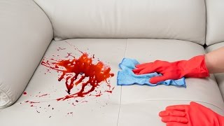 How To Remove a Stain from a Sofa [upl. by Laekcim]