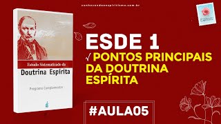 Aula 05  ESDE 1  Pontos Principais da Doutrina Espírita [upl. by Naujek622]