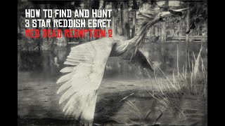 Red Dead Redemption 2 Perfect Reddish Egret Hunting Guide [upl. by Garrison504]