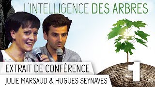 LIntelligence des Arbres  Conférence du 101017  Extrait 1 [upl. by Nevs]