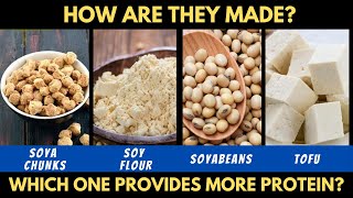 Soy Products Protein Comparison SoyabeanTofuSoyaChunksSoy Flour  How Are They Manufactured [upl. by Aisyle]