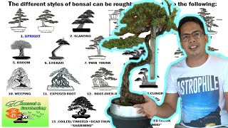 The different Styles of Bonsai Explained Beginners Guide [upl. by Savanna728]