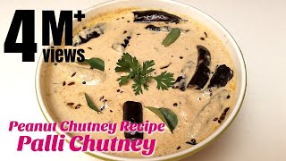 Palli Chutney  Peanut Chutney Recipe  How to make Chutney  Hyderabadi Ruchulu [upl. by Alyahsal]