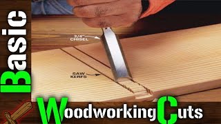 Joinery All Basic Woodworking Cuts You Need To Know [upl. by Nnairrek133]