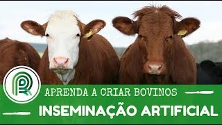 Aprenda a criar bovinos  Aula 3 inseminação artificial [upl. by Coridon132]