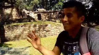 Yaxchilan Chiapas Lugar Magico Maya FactorMayacom [upl. by Zsamot585]