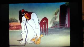 Foghorn Leghorn Walky Talky Hawky Part 4 [upl. by Connel]