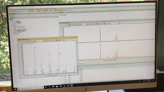 GC MS Data Analysis [upl. by Mallorie]