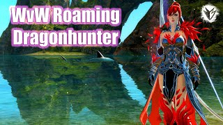 GW2  WvW Roaming Trapper Dragonhunter  Guild Wars 2 Build [upl. by Nacim]