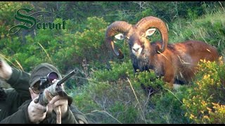 Trapped Mouflon wild sheep Rescued By Jogger  ViralHog [upl. by Zobe]