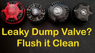 Cleaning Drysuit Dump Valves [upl. by Lancey]