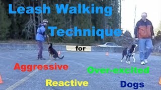 Leash Walking Technique for Aggressive Reactive or Over Excited Dogs [upl. by Balduin111]