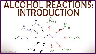 Introduction to Alcohol Properties and Reactions [upl. by Rudyard]