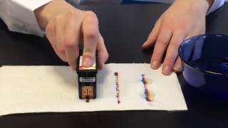 DTM Print Tutorial How to reactivate dried cartridges [upl. by Crescentia]