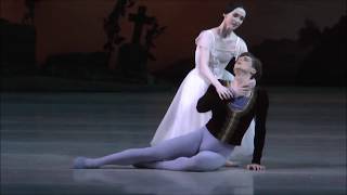 Vladimir Shklyarov amp Olesya Novikova  Giselle Act II Pas de deux  Mariinsky 30042017 [upl. by Peppi]