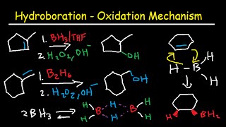 MTHFR Mutation Symptoms and Diet What You Need to Know [upl. by Lletnahs]