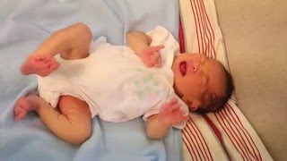 Newborn Baby Kicking and Crying [upl. by Ekeiram]