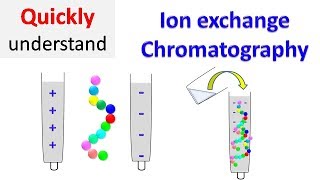 Ion exchange chromatography [upl. by Nosoj452]