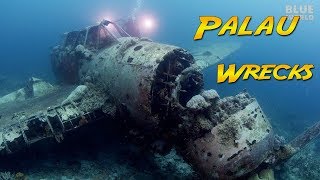 Wrecks of Palau Lost in World War 2 [upl. by Lemuelah556]