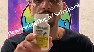 Deworming A Puppy With Safeguard Goat Dewormer [upl. by Buseck438]