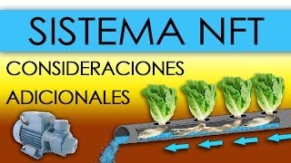 HIDROPONÍA  SISTEMA NFT EN LECHUGAS Nutrient Film Technique [upl. by Akimot]