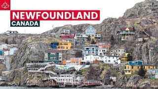 Canada Road Trip Best Things To Do In Newfoundland [upl. by Jodee]