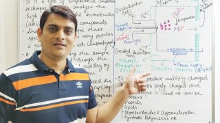 Part 10 Mass Spectrometry  Electrospray Ionization  ESI Technique [upl. by Assina910]