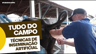 Inseminação Artificial em Bovinos [upl. by Walston]