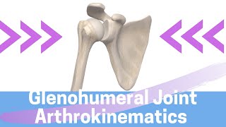 Shoulder Kinesiology Glenohumeral Joint Movement [upl. by Analram]