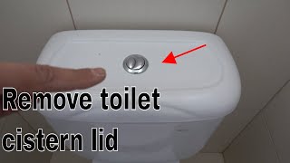 How to remove toilet cistern lid  Dual flush buttons [upl. by Georgette]