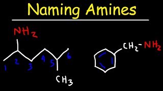 Naming Amines  IUPAC Nomenclature amp Common Names [upl. by Ainos82]