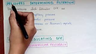 Urine formation Part  I   Stages of urine formation  Physiology [upl. by Barayon929]